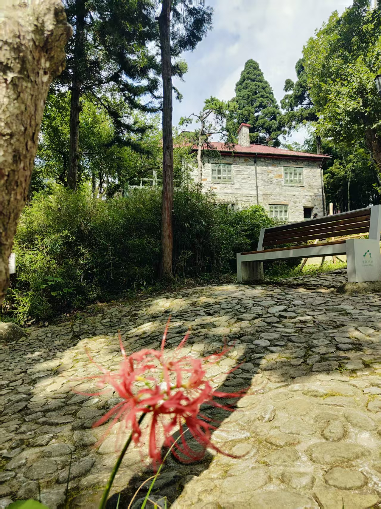 庐山初秋